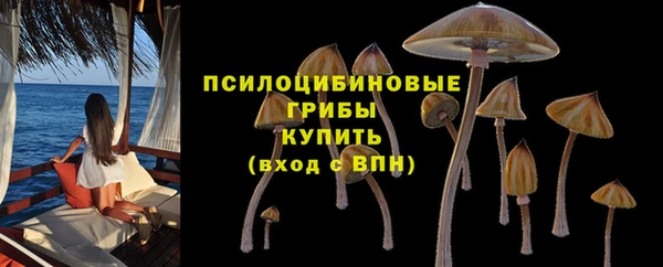 прущая мука Арсеньев