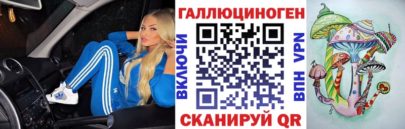 blacksprut ONION  Пугачёв  Псилоцибиновые грибы Magic Shrooms 